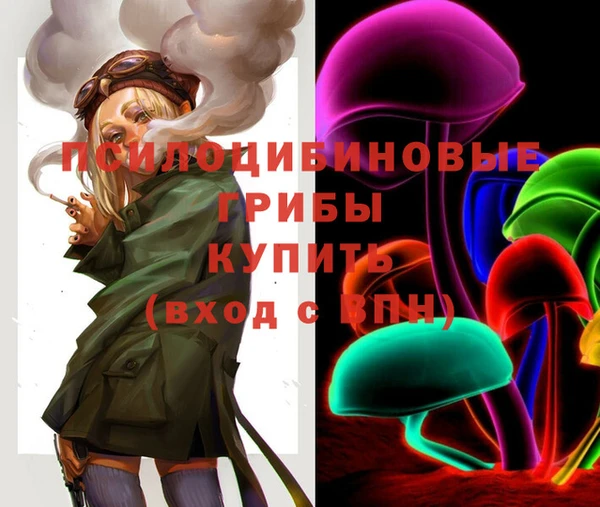 гидропоника Покровск