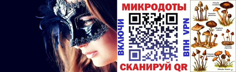 Псилоцибиновые грибы Psilocybine cubensis  маркетплейс наркотические препараты  Вичуга  что такое  