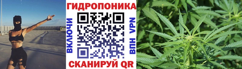 сколько стоит  Вичуга  Шишки марихуана план 